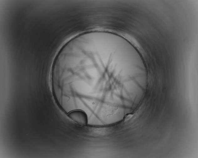 X0000089351247200706291015