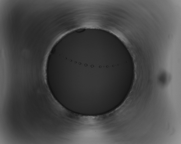 X0000089351248200706291015