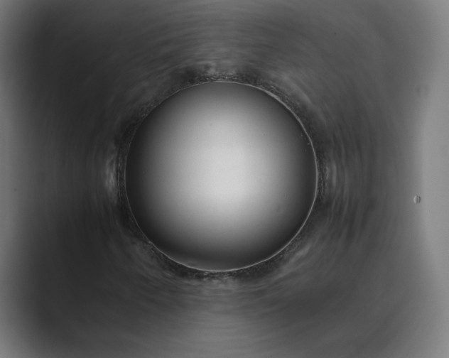 X0000089351250200706291014