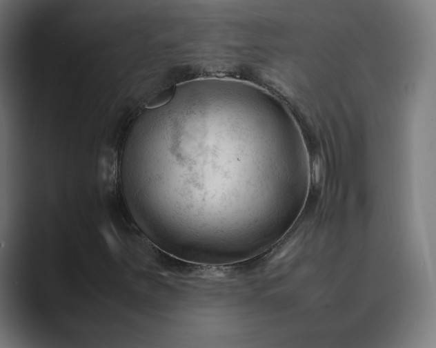 X0000089351251200706291014