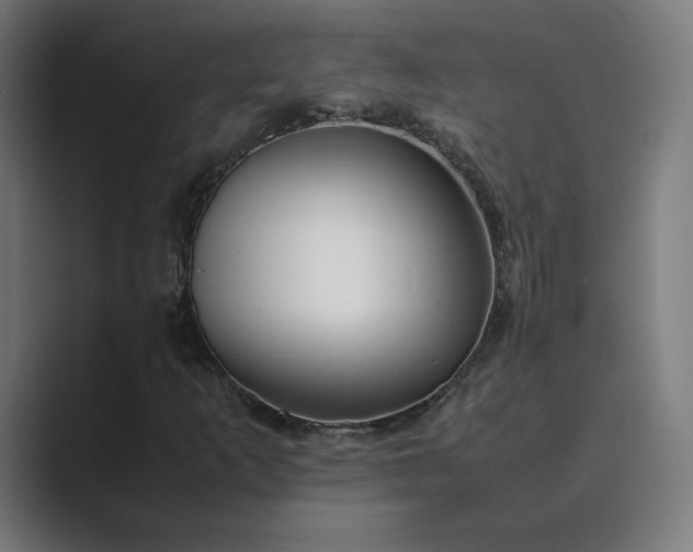 X0000089351253200706291014