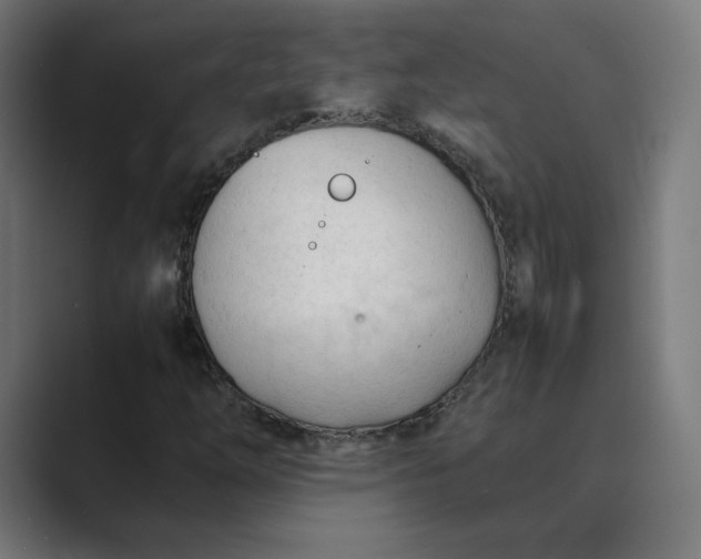 X0000089351254200706291014