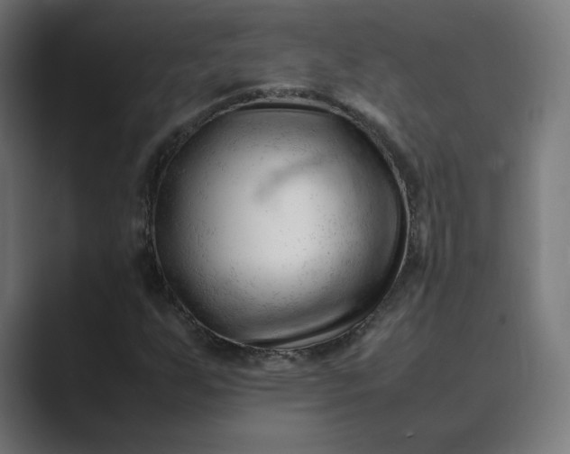 X0000089351255200706291014