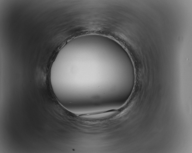 X0000089351257200706291014