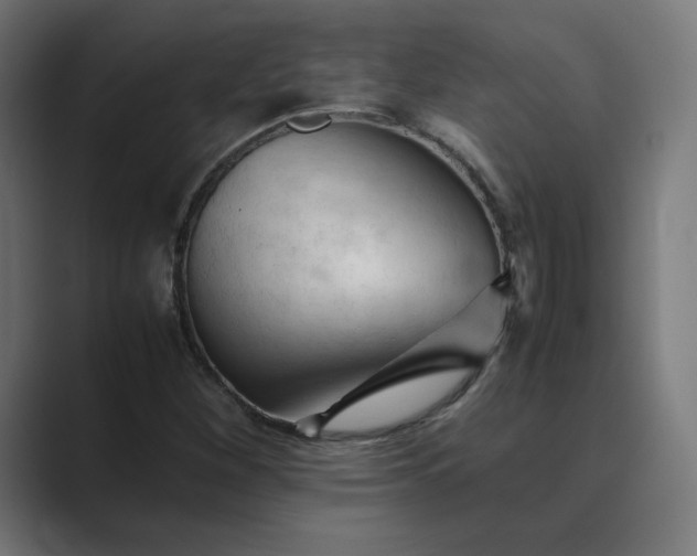 X0000089351260200706291014