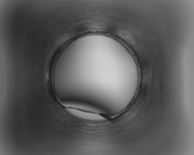 X0000089351261200706291014