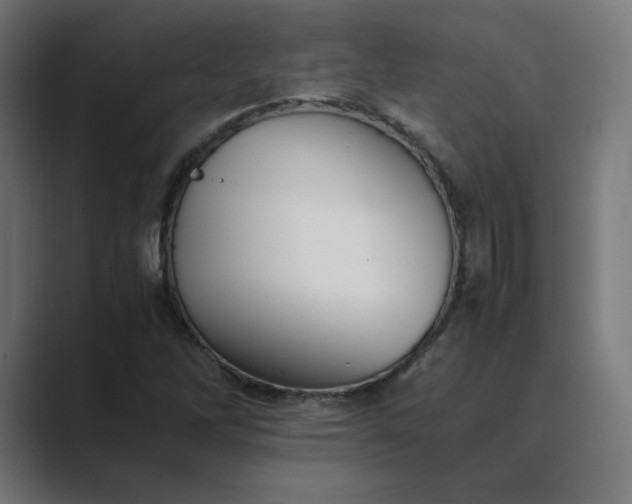 X0000089351262200706291014