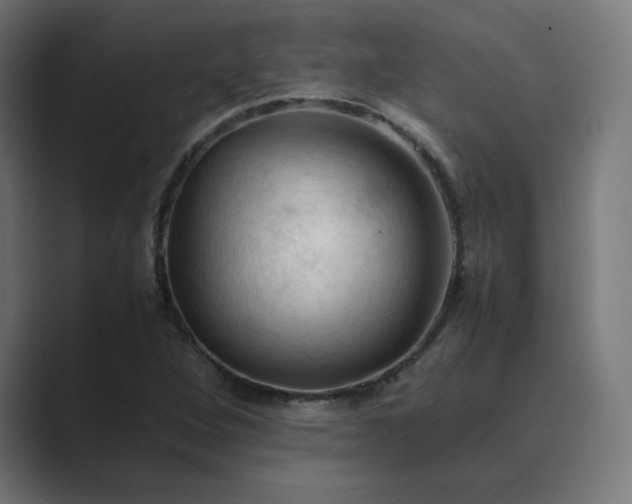 X0000089351264200706291014