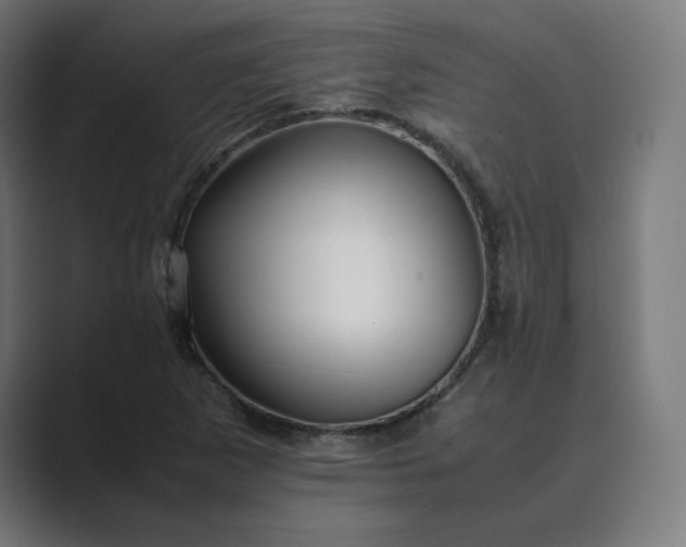 X0000089351265200706291014