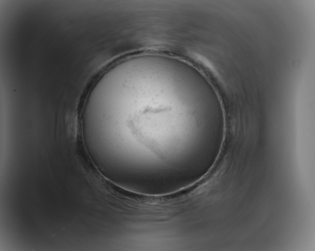 X0000089351267200706291014