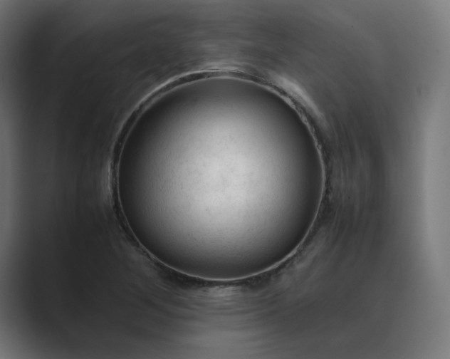 X0000089351268200706291014