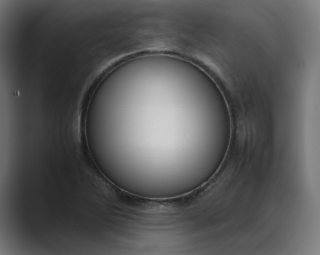 X0000089351270200706291014