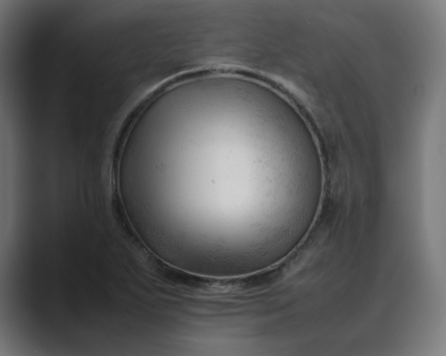 X0000089351271200706291014