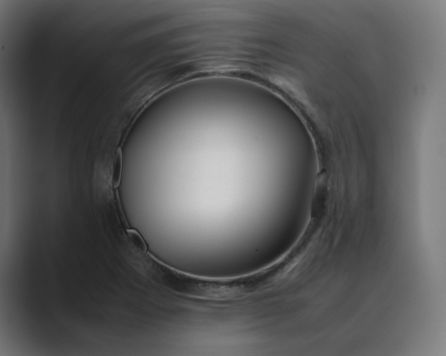 X0000089351273200706291014