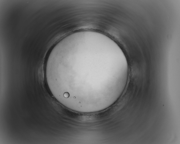 X0000089351274200706291014