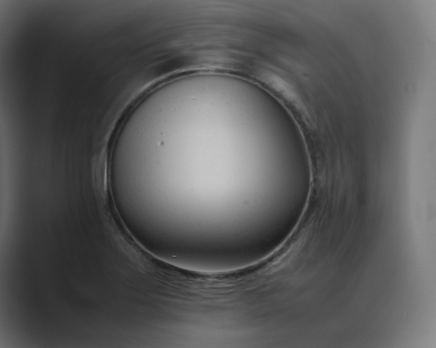 X0000089351275200706291014