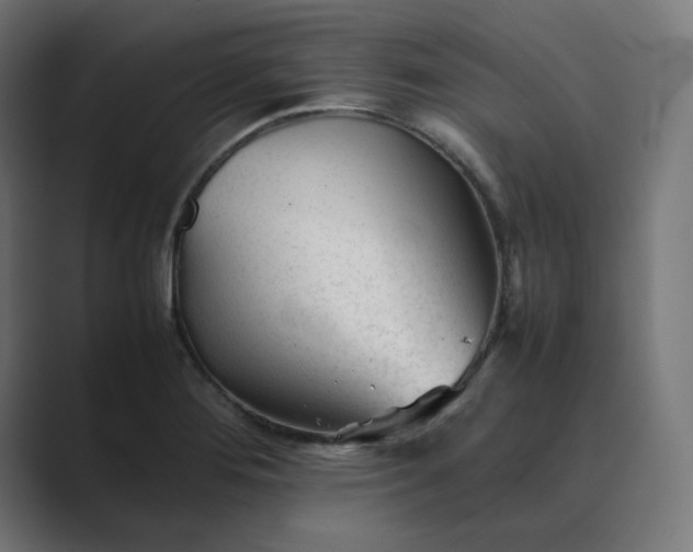 X0000089351276200706291014