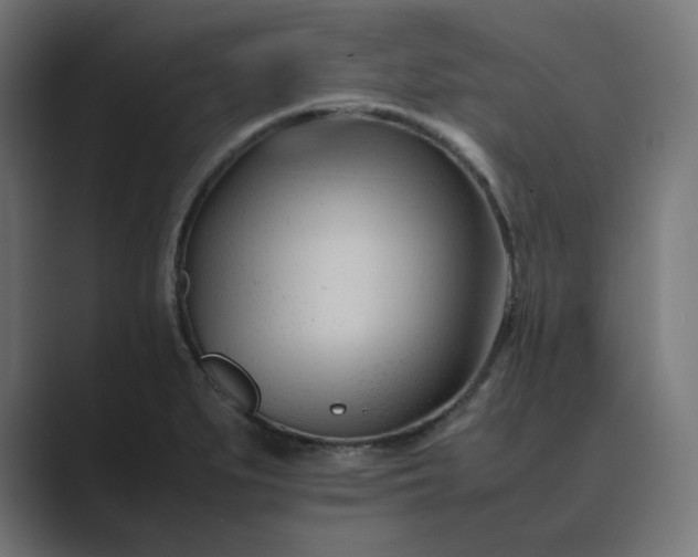 X0000089351279200706291014