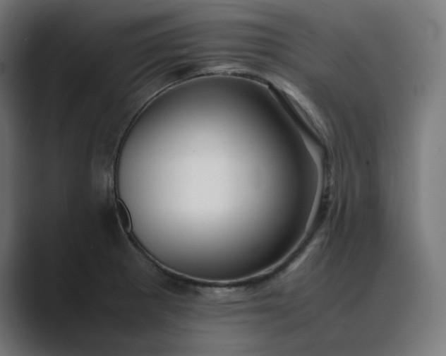 X0000089351281200706291014