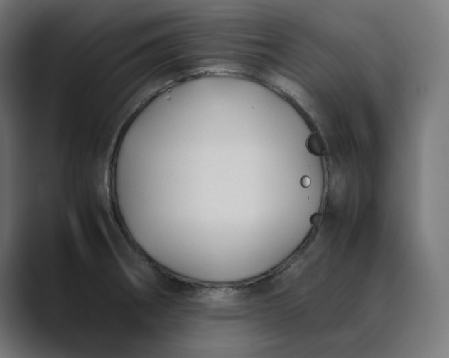 X0000089351282200706291014