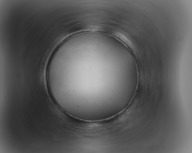 X0000089351283200706291014