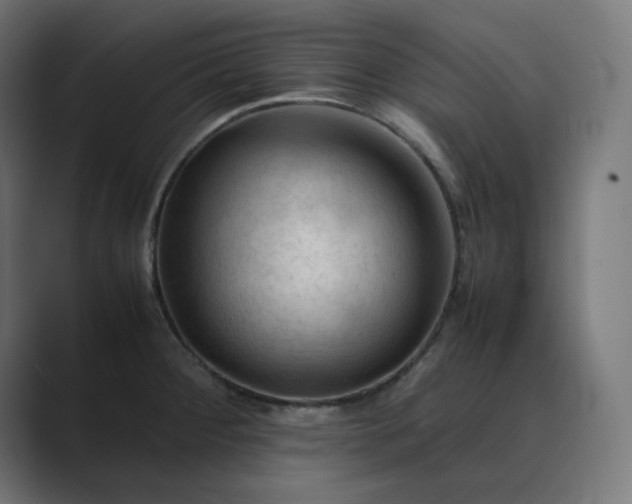 X0000089351284200706291014