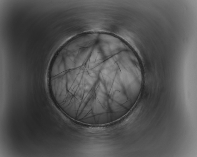 X0000089351285200706291014