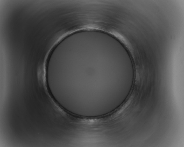 X0000089351286200706291014