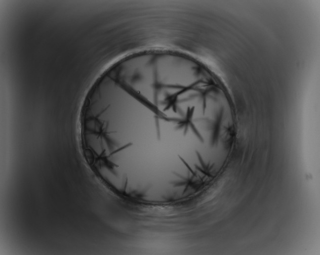 X0000089351287200706291014