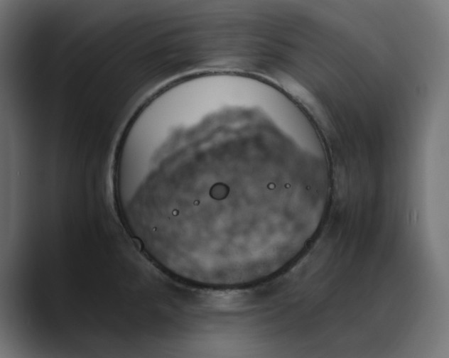 X0000089351288200706291014