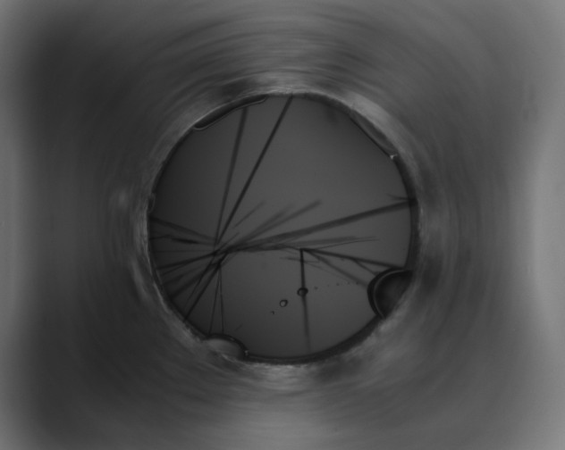 X0000089351289200706291014