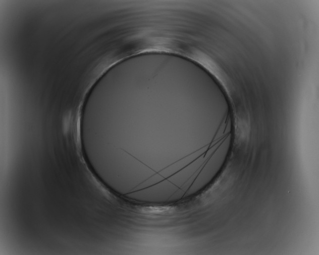 X0000089351290200706291014