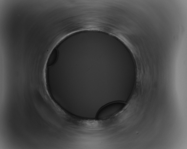 X0000089351291200706291014