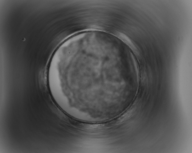 X0000089351292200706291014