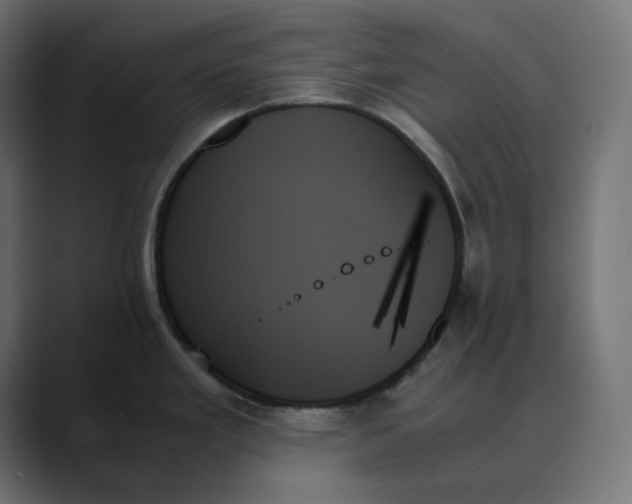 X0000089351293200706291014