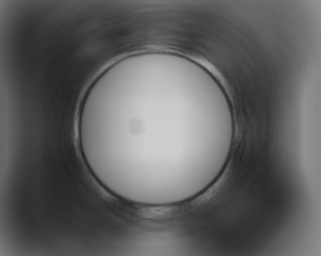 X0000089351294200706291014