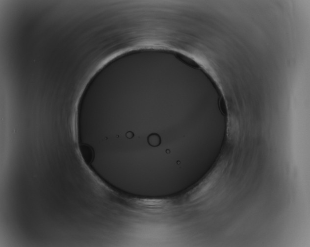 X0000089351295200706291014