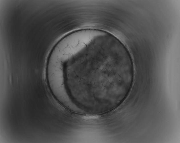 X0000089351296200706291014