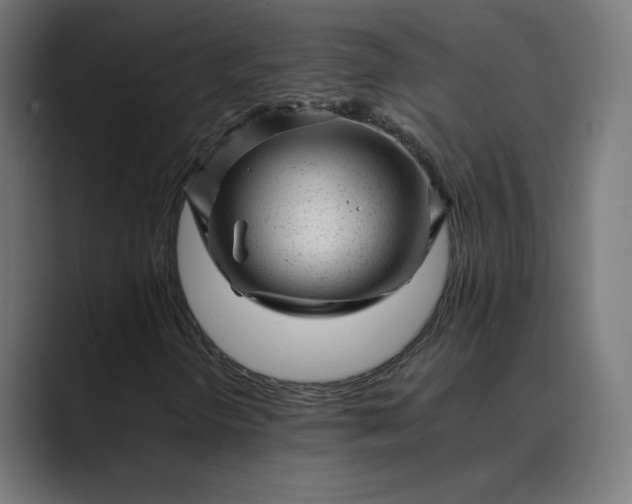 X0000089351298200706291013