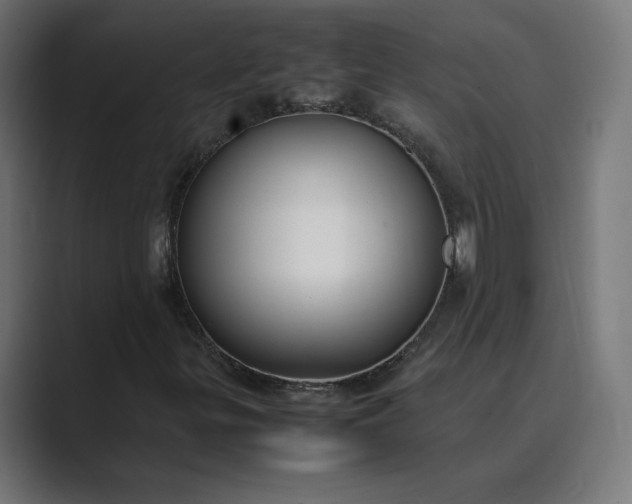 X0000089351299200706291013