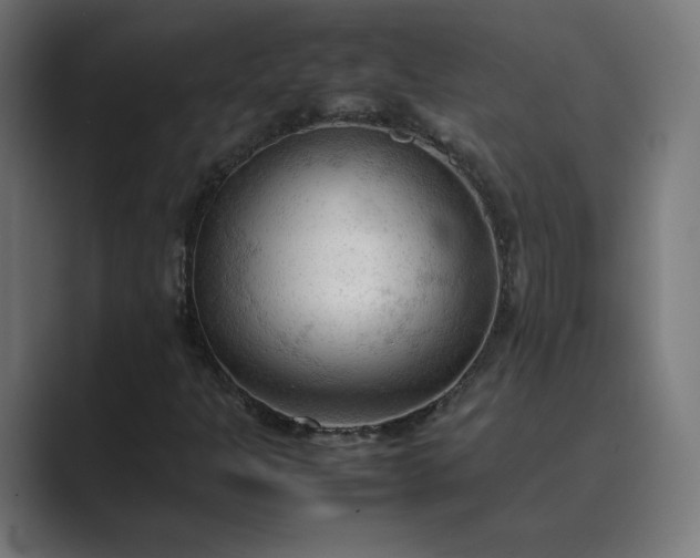 X0000089351301200706291013