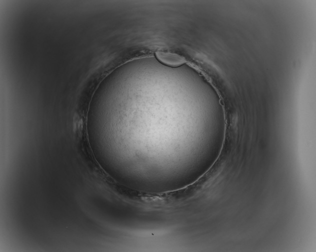 X0000089351302200706291013