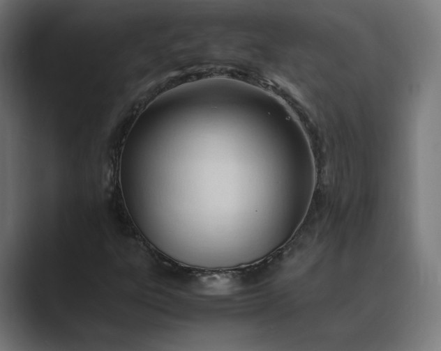 X0000089351303200706291013