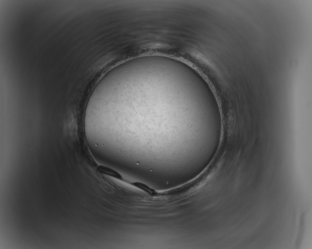 X0000089351305200706291013
