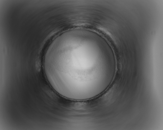 X0000089351306200706291013
