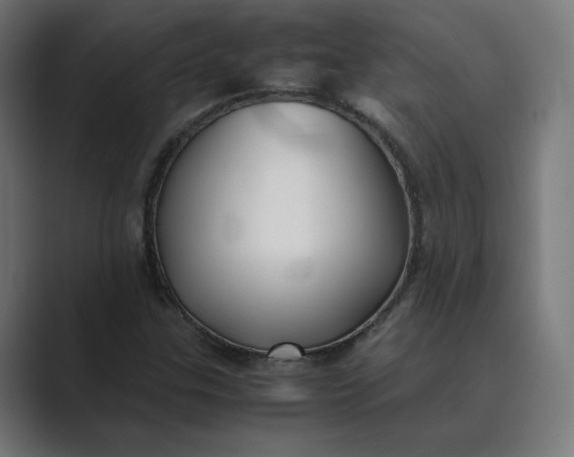 X0000089351307200706291013