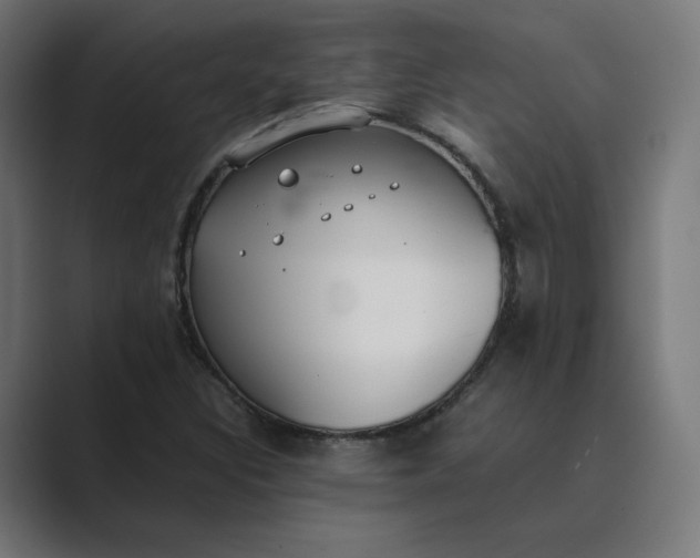 X0000089351308200706291013