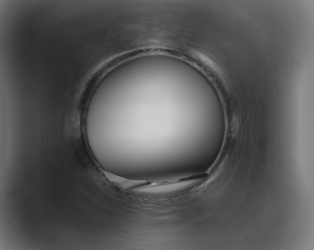 X0000089351310200706291013