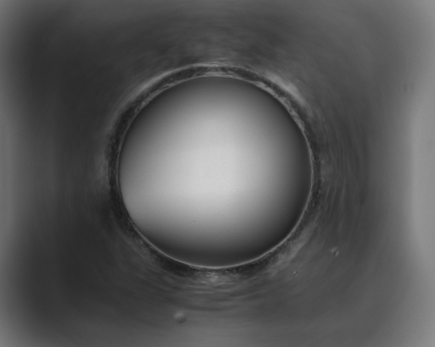 X0000089351311200706291013