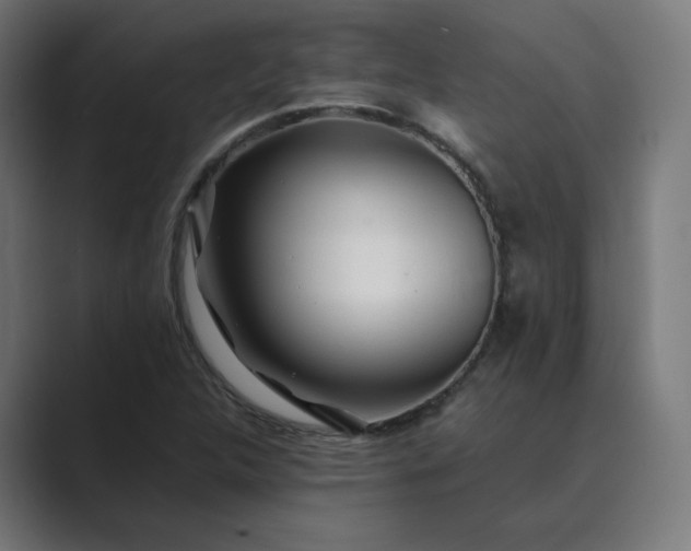 X0000089351312200706291013